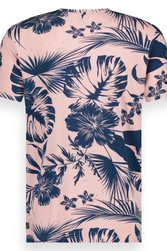 product-image-1353