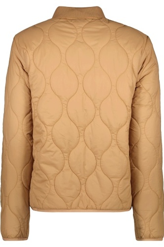 product-image-1534