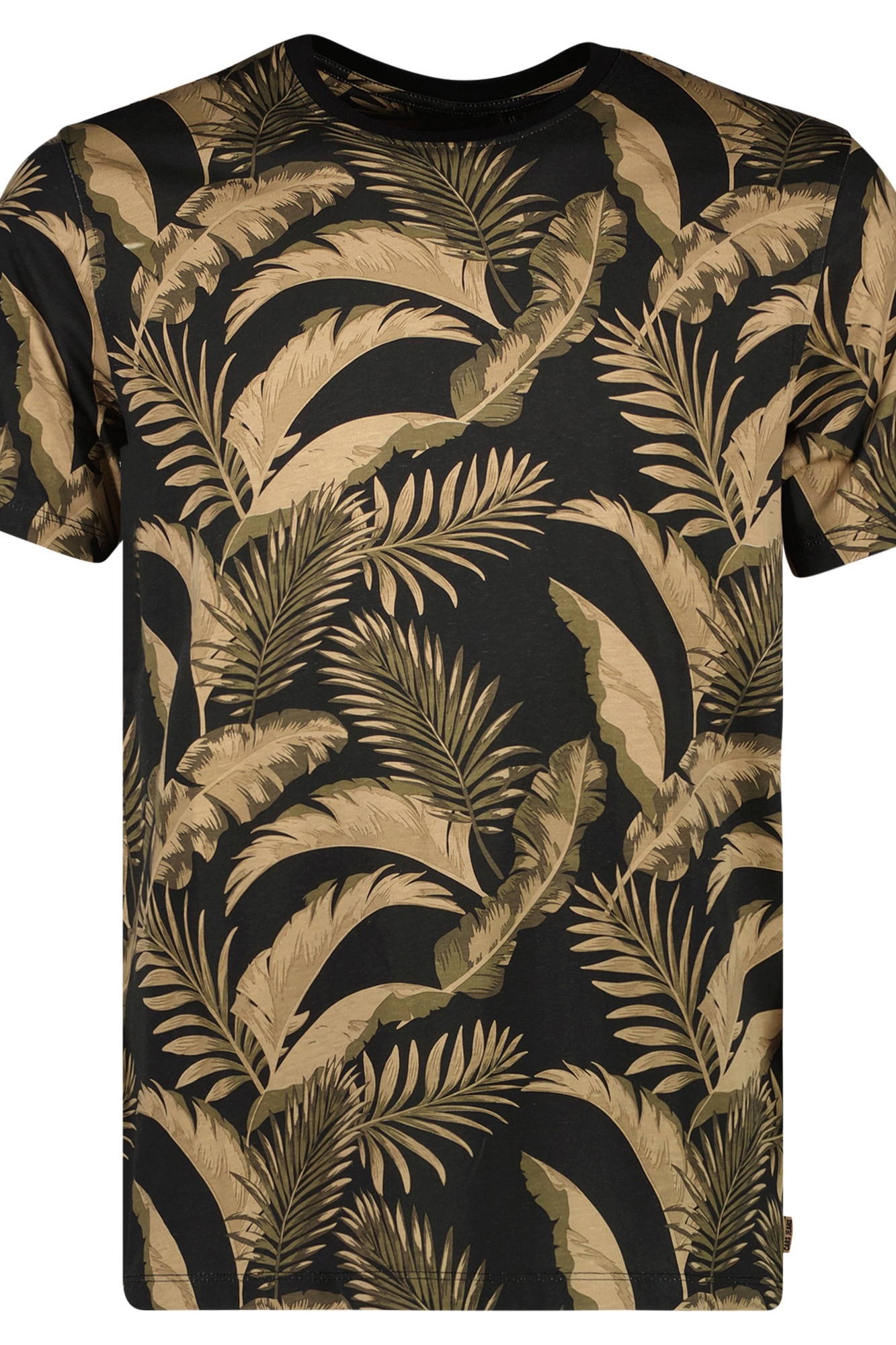 product-image-2447