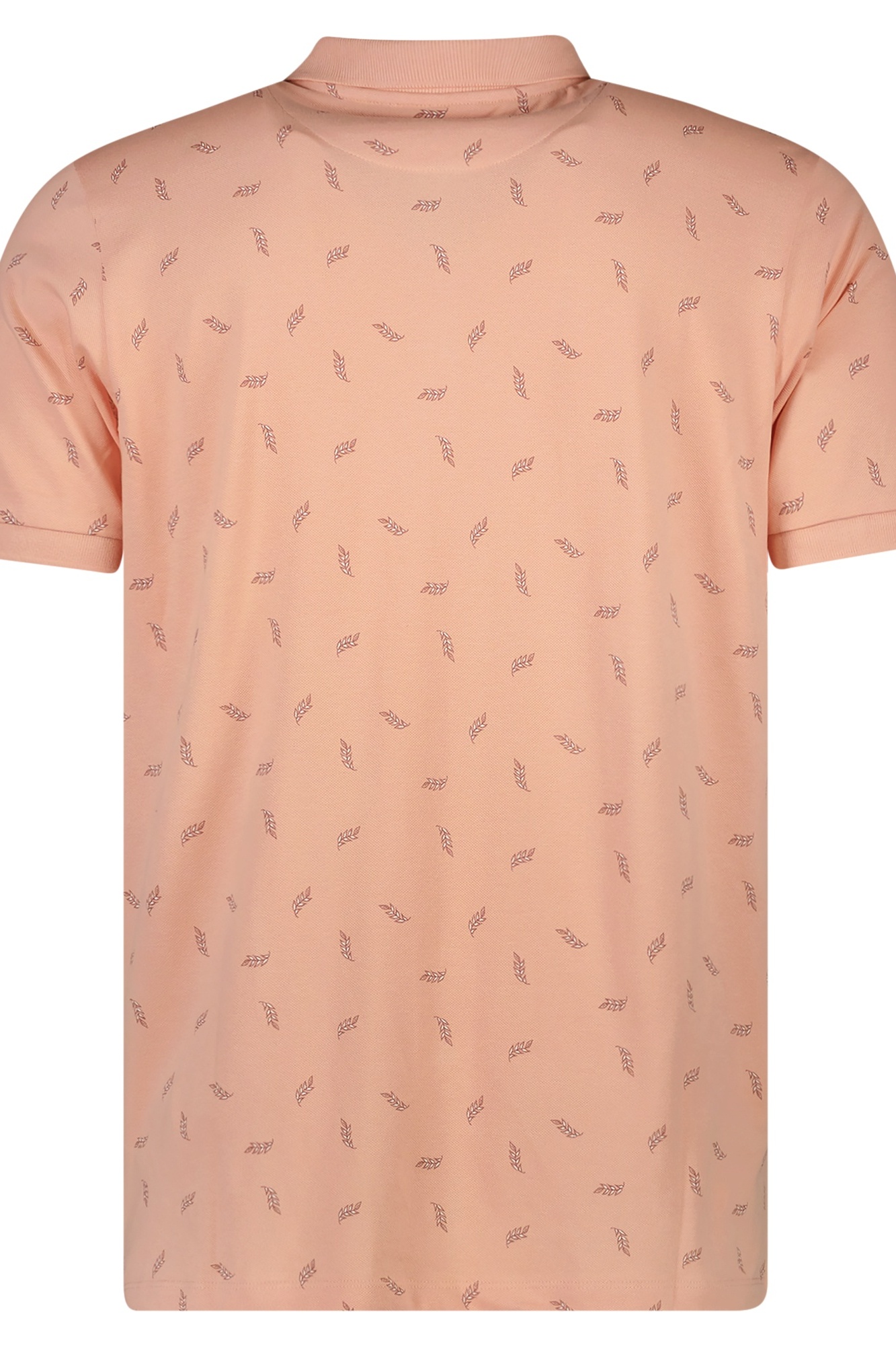 product-image-2456