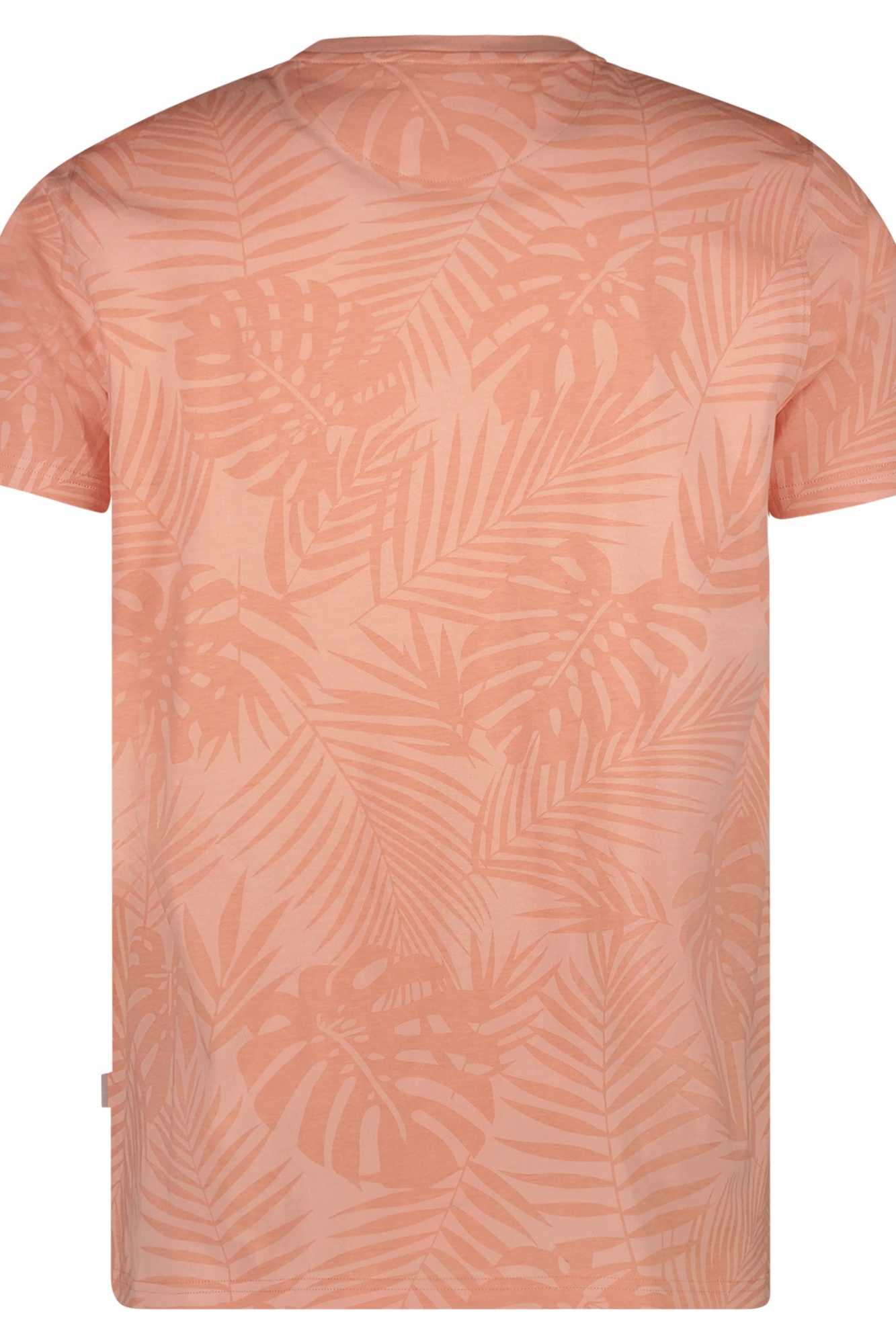 product-image-2516