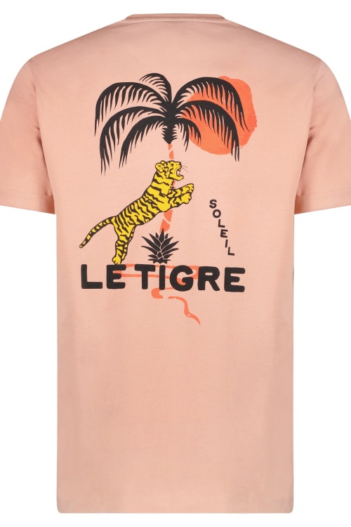 CARS - DRAYCO TSHIRT - ZACHT ORANJE