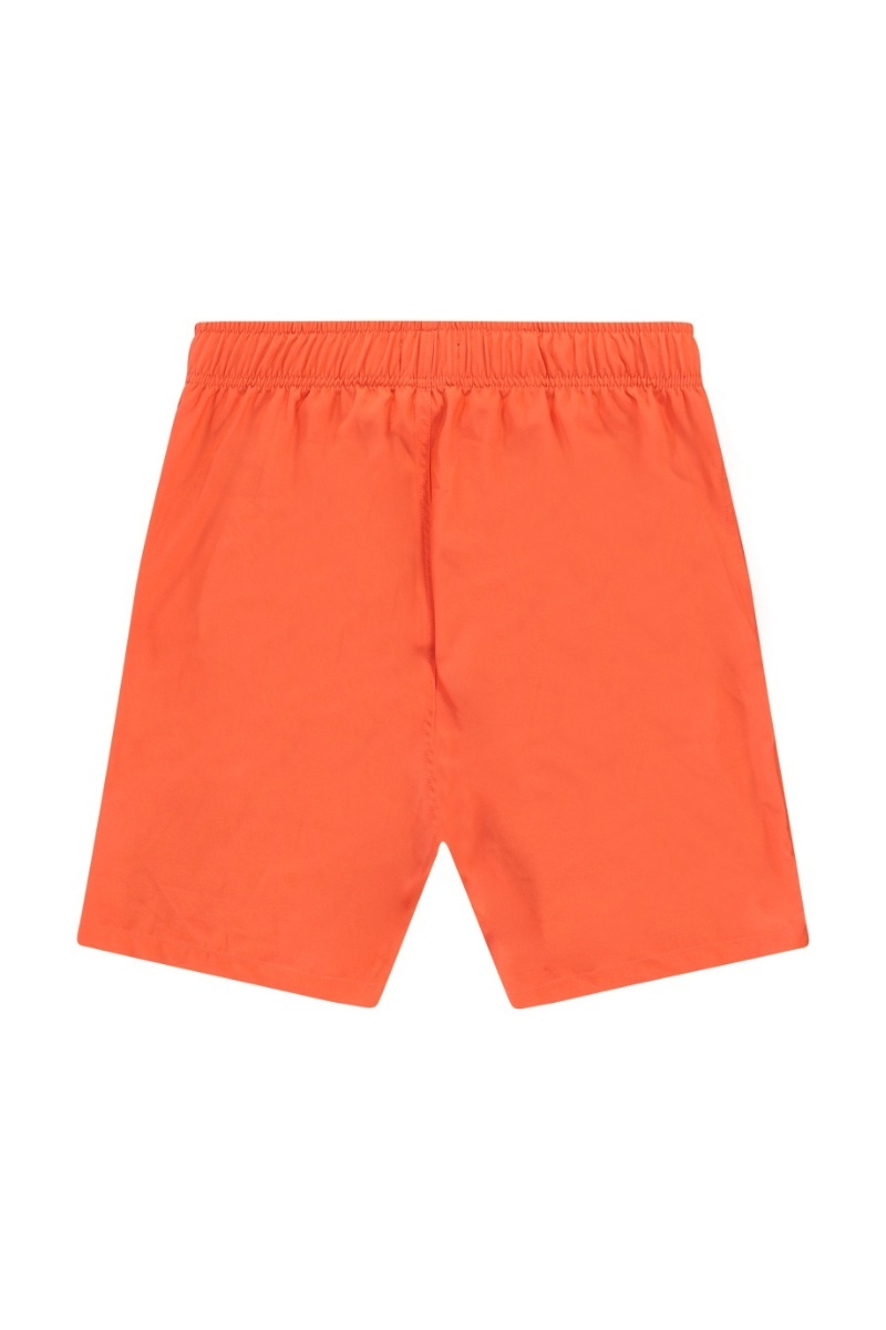 product-image-2544