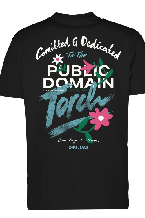 CARS - COLYN TSHIRT - ZWART