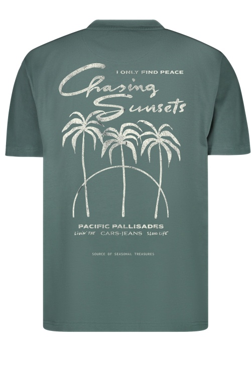 CARS - COLYN TSHIRT - GROEN