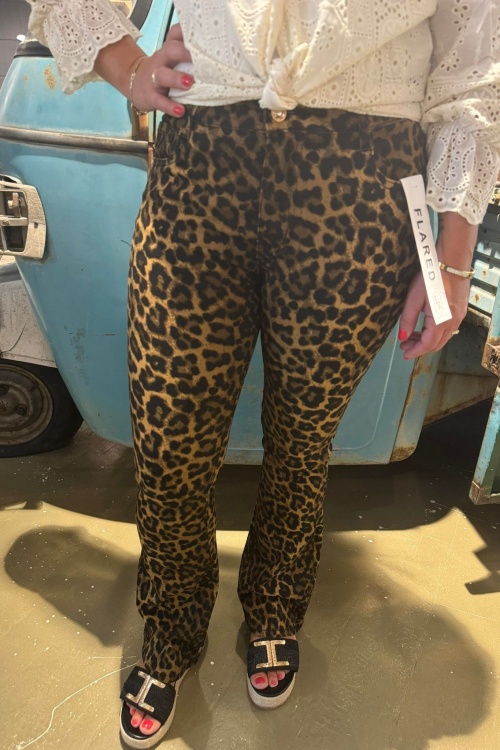 FY10297 - FLAIR - LEOPARD DONKER BRUIN 