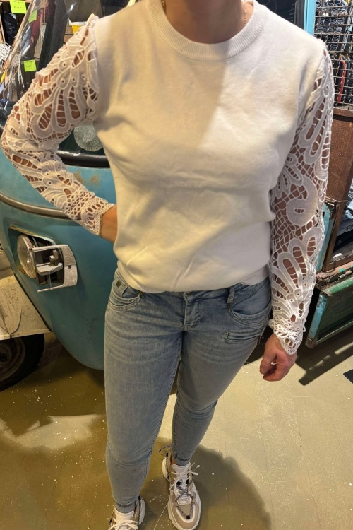 6301 TRUI - WIT