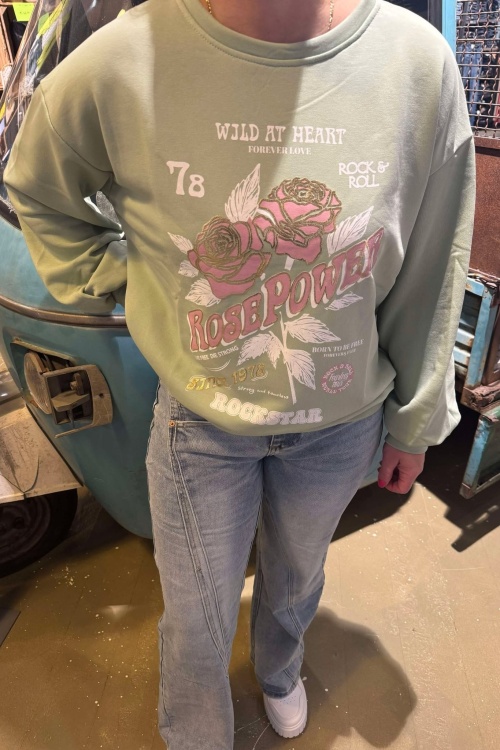  SWEATER PRINT - MINTGROEN