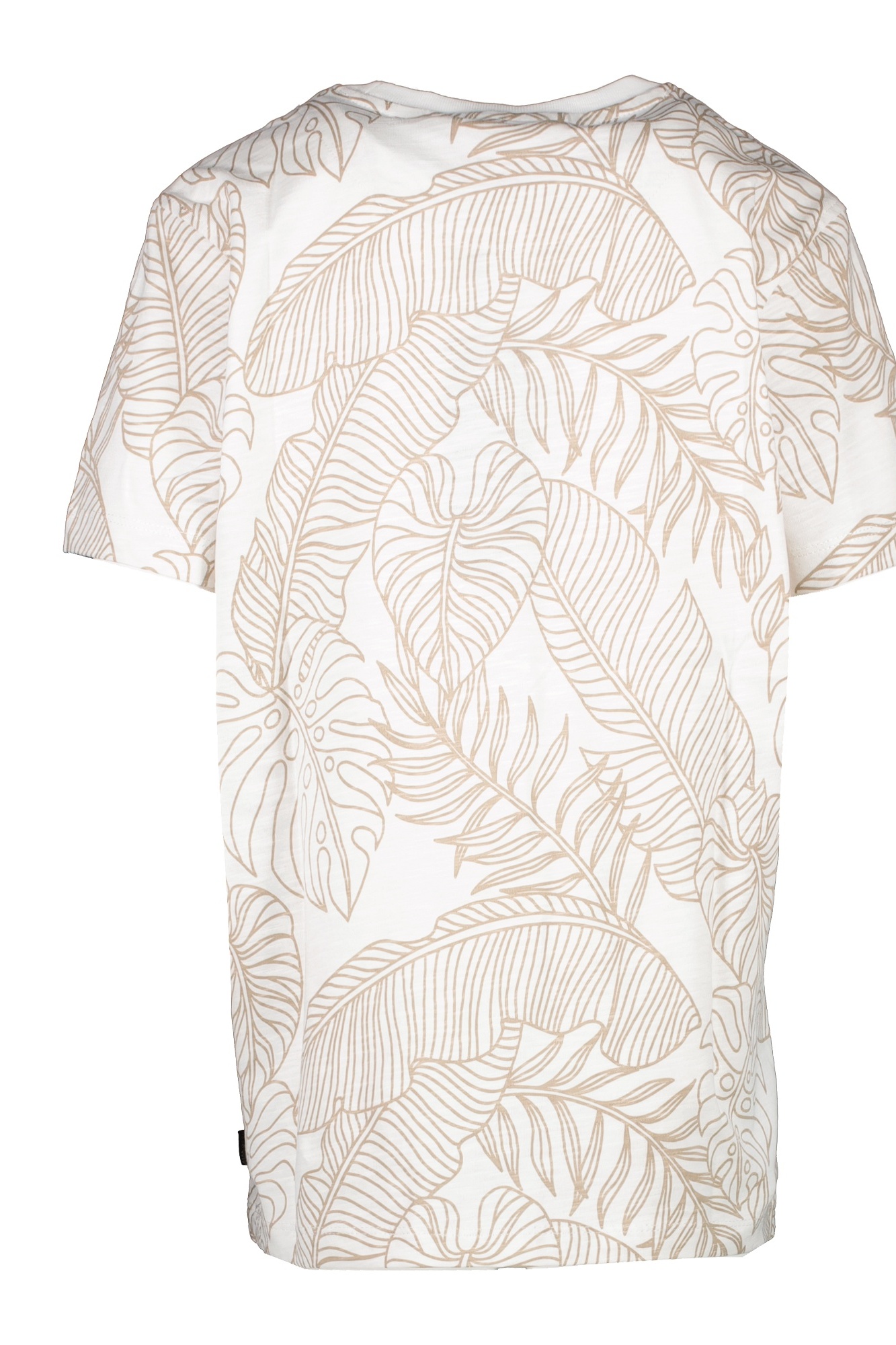product-image-4273