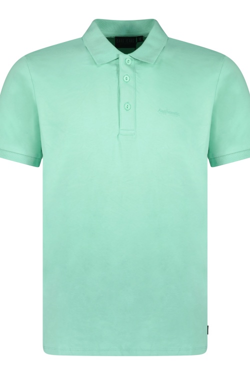 CARS - HASLE - POLO - AQUA