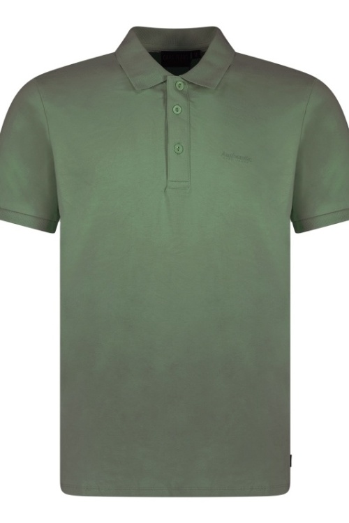 CARS - HASLE - POLO - GROEN