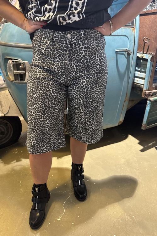 T61 - SHORT LONG - LEO