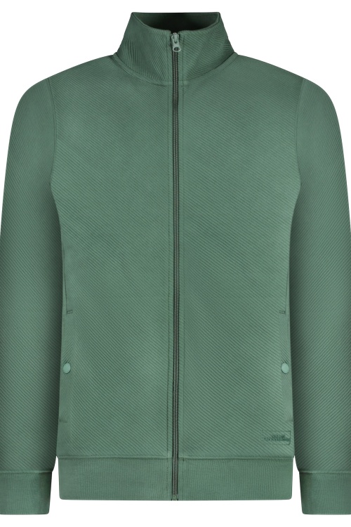 CARS - TAYLEN - VEST - GROEN 