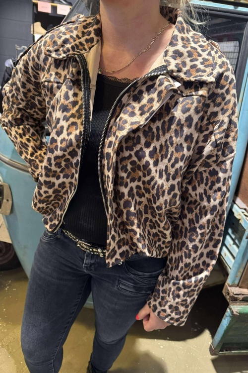 10338 - JACK - LEOPARD